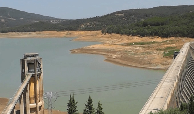 رغم صعوبة تغيير "العادات الزراعية" الجهوية..   تغيير الخارطة الفلاحية بات ضرورة وليس خيارا !